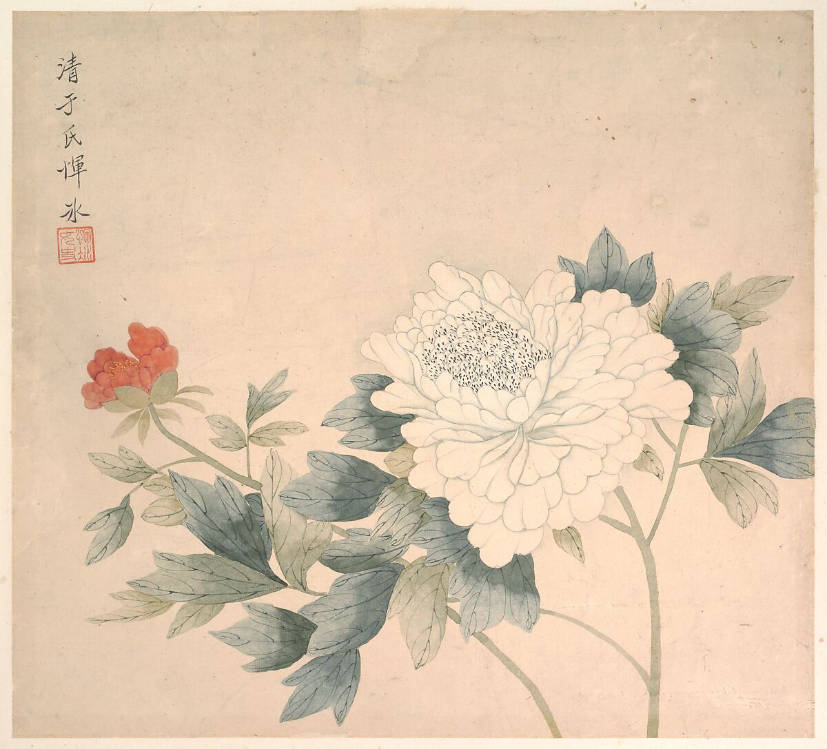 Flower Study by Yun Bing, 17th century
